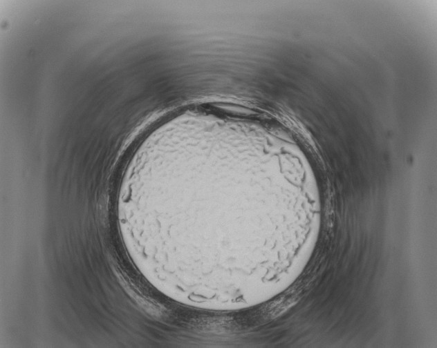 X0000086300108200704271837