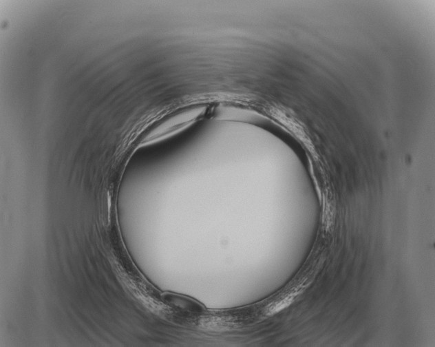 X0000086300109200704271837