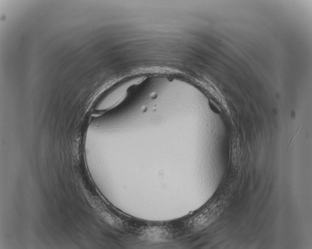 X0000086300111200704271837