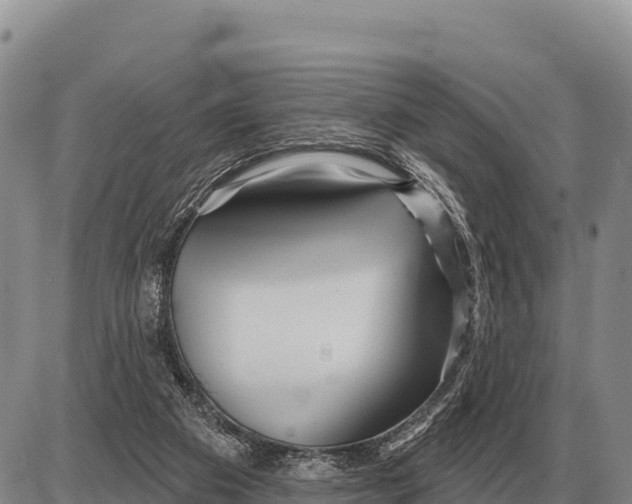 X0000086300113200704271837