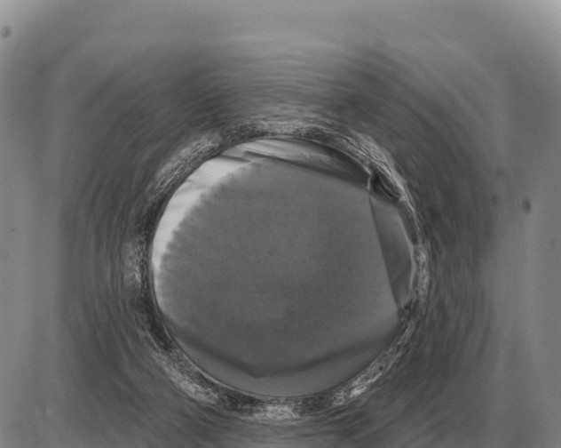 X0000086300114200704271837