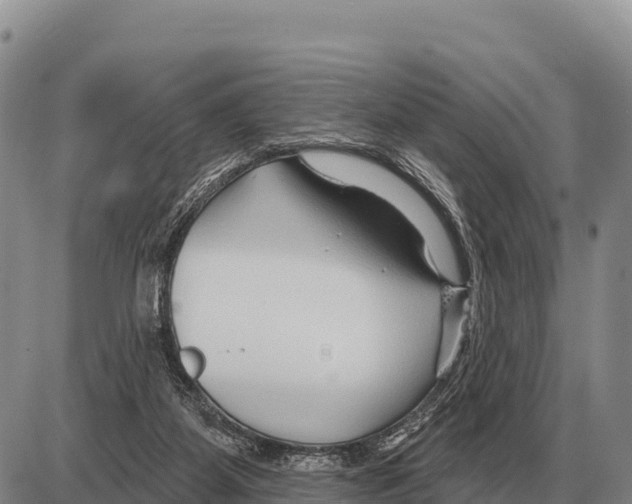 X0000086300115200704271837