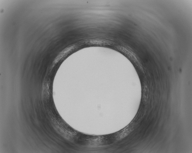 X0000086300116200704271837