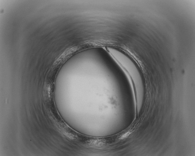 X0000086300117200704271837