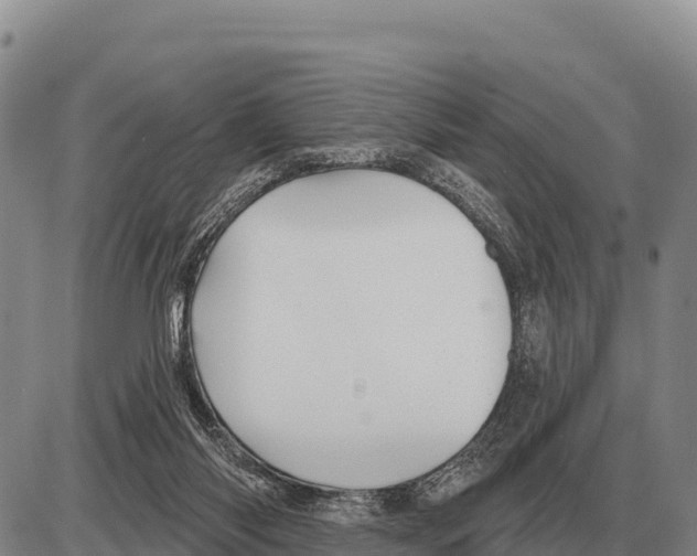 X0000086300118200704271837