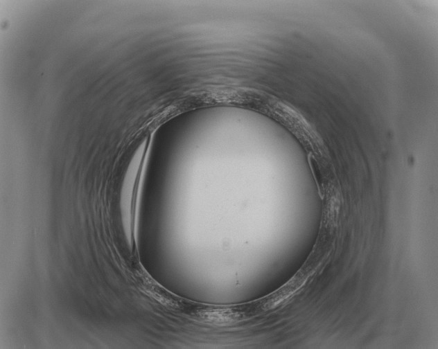 X0000086300121200704271836