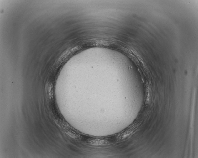 X0000086300123200704271836