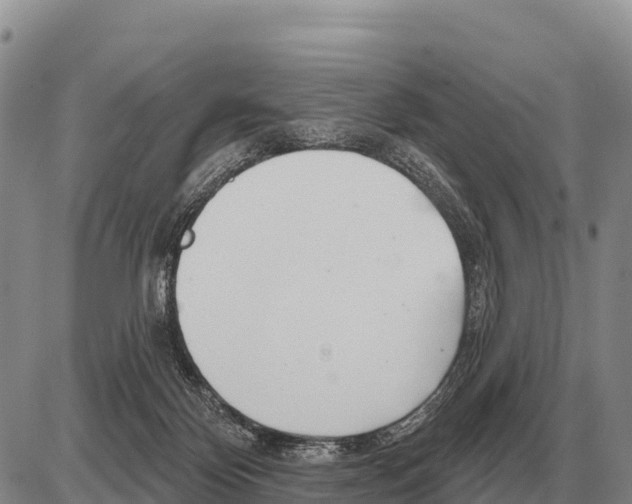 X0000086300124200704271836