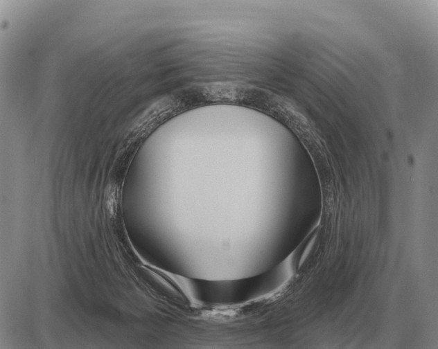 X0000086300125200704271836