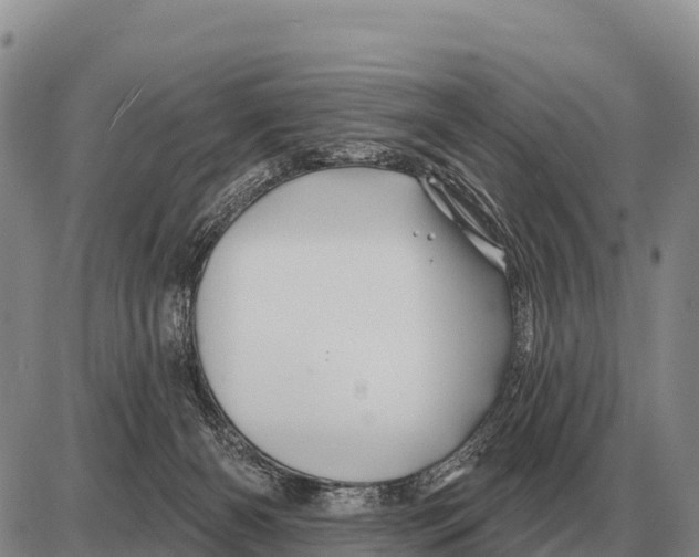 X0000086300126200704271836