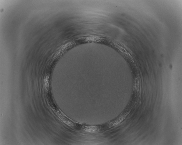 X0000086300127200704271836