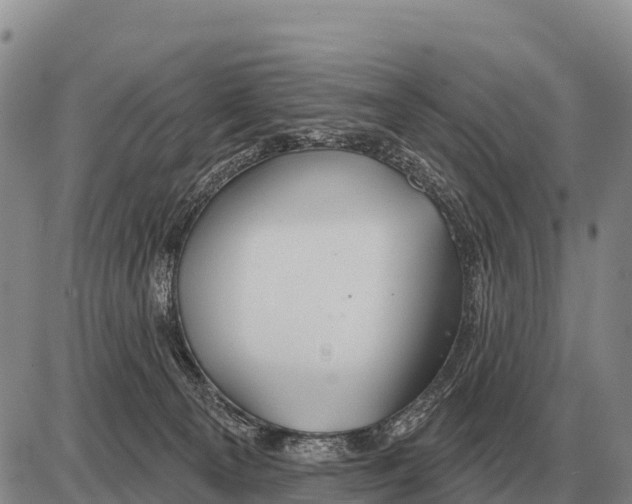 X0000086300129200704271836