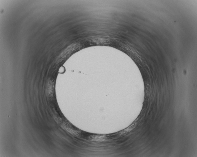 X0000086300132200704271836