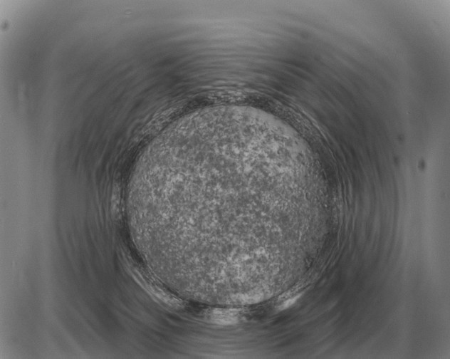 X0000086300134200704271836