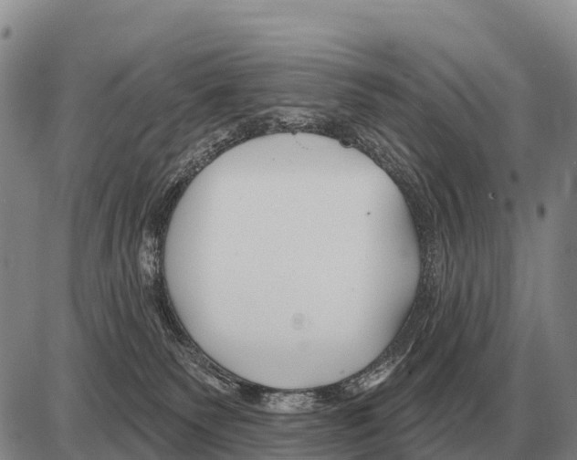 X0000086300135200704271836