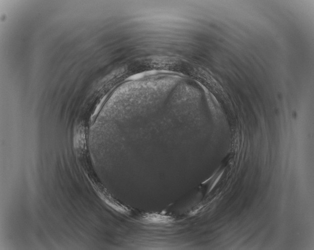 X0000086300137200704271836