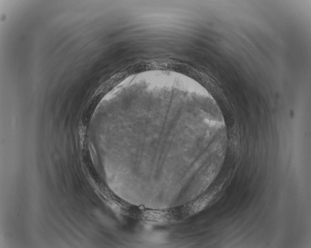 X0000086300139200704271836