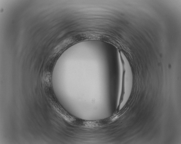 X0000086300141200704271836