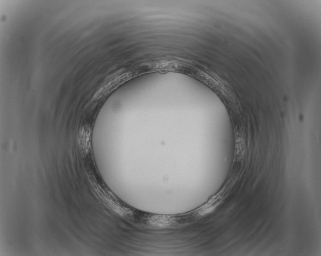 X0000086300142200704271836