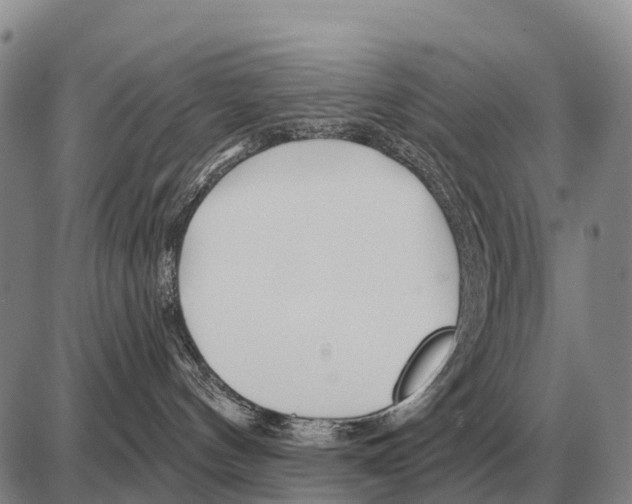 X0000086300144200704271836