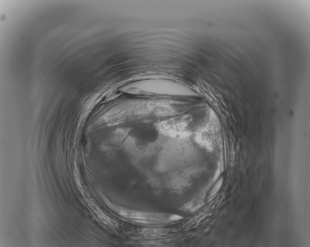 X0000086300145200704271835