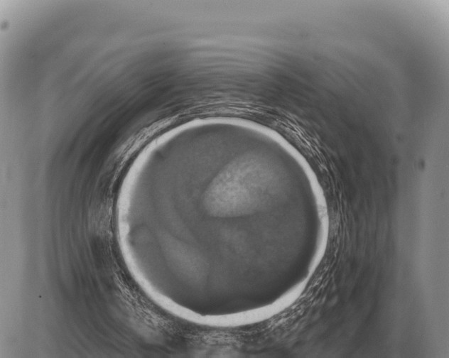 X0000086300146200704271835