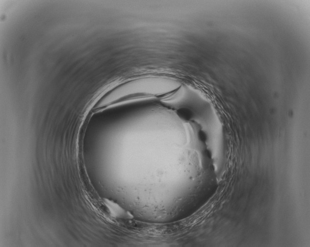 X0000086300148200704271835