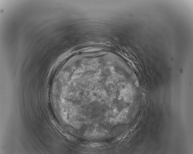 X0000086300149200704271835