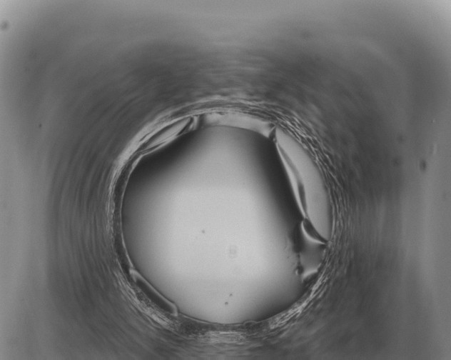 X0000086300150200704271835