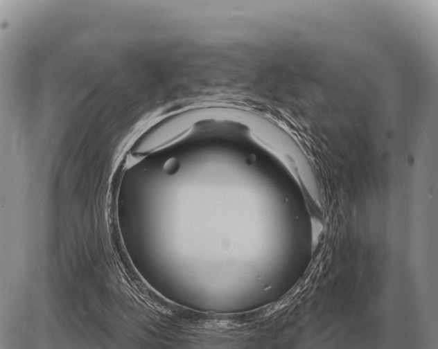 X0000086300152200704271835