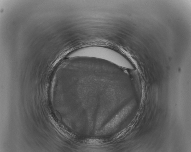 X0000086300154200704271835