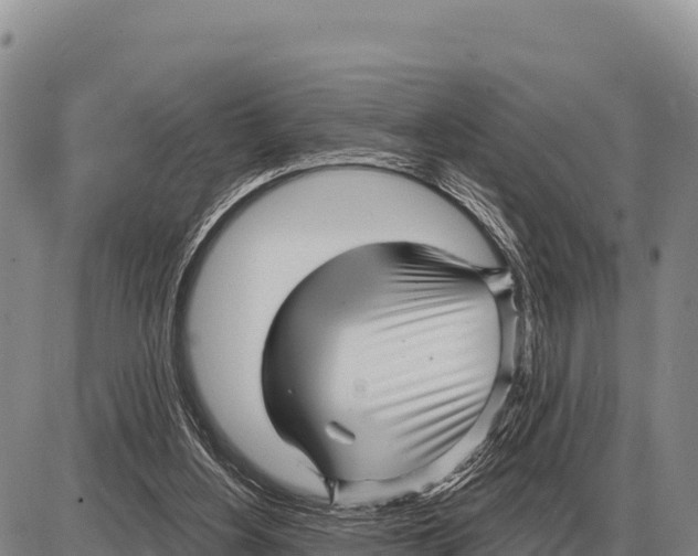 X0000086300156200704271836