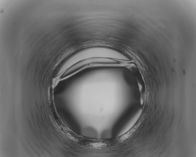 X0000086300158200704271836