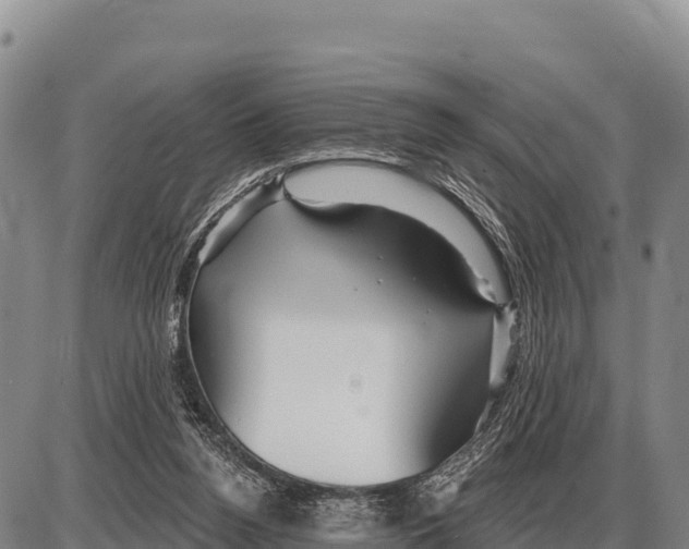 X0000086300160200704271836