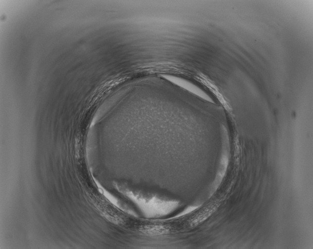 X0000086300161200704271836