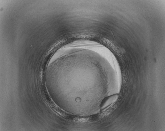 X0000086300163200704271836