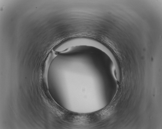 X0000086300164200704271836