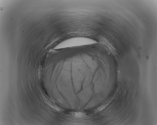 X0000086300165200704271836