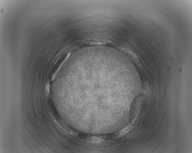 X0000086300166200704271836