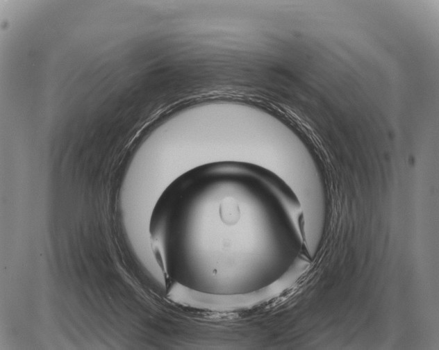 X0000086300168200704271836