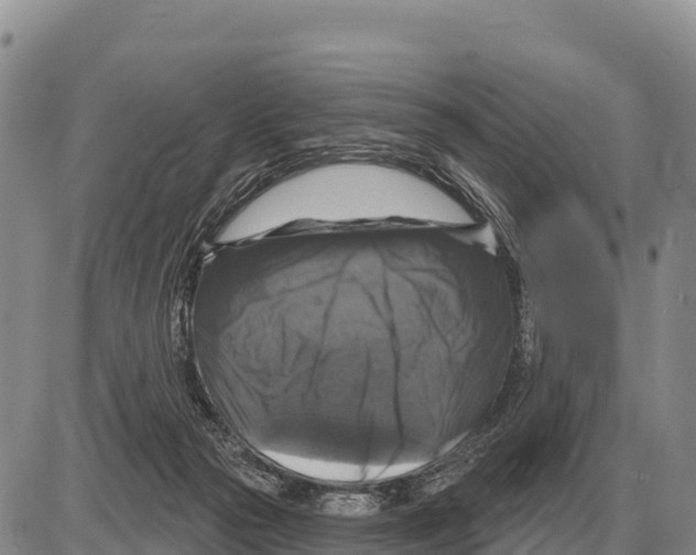 X0000086300169200704271836