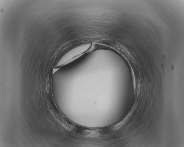 X0000086300170200704271836