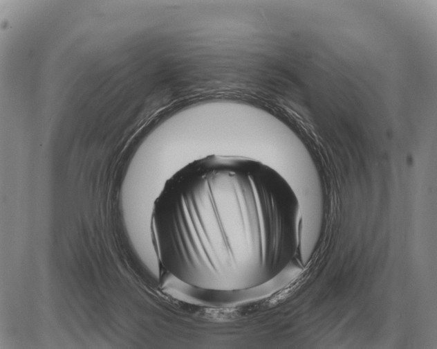 X0000086300172200704271836