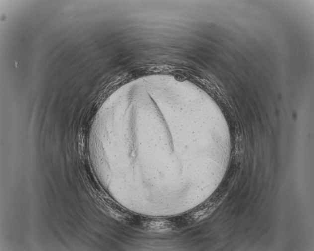 X0000086300173200704271836