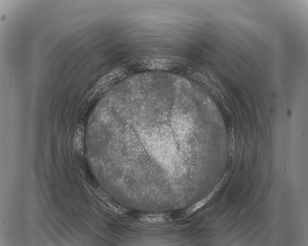 X0000086300175200704271836