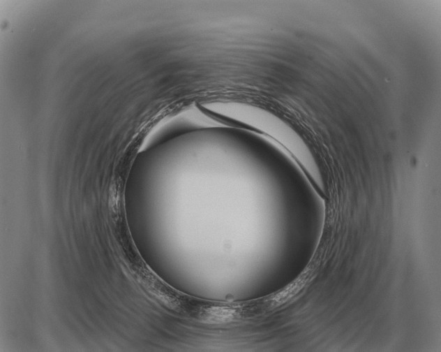 X0000086300176200704271836