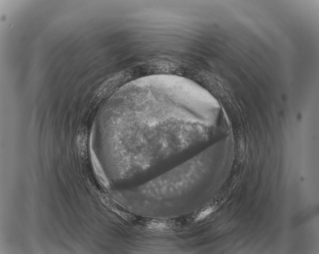 X0000086300177200704271836