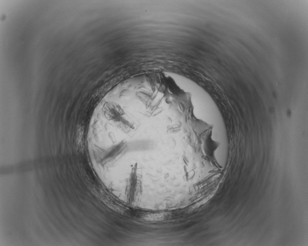 X0000086300178200704271836