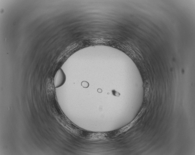 X0000086300179200704271836