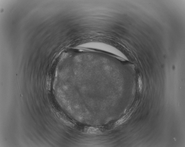 X0000086300180200704271836